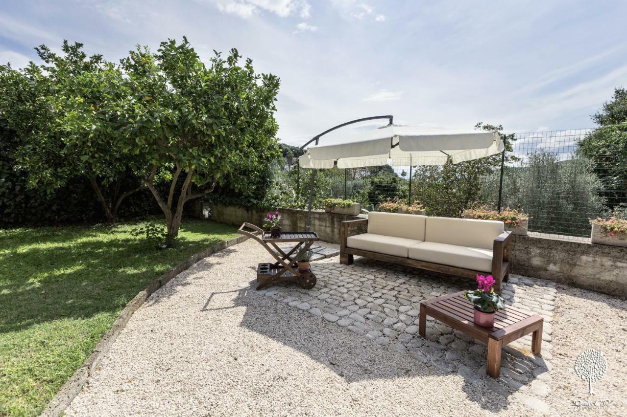 Domus Citri Bed & Breakfast Caserta Exterior photo