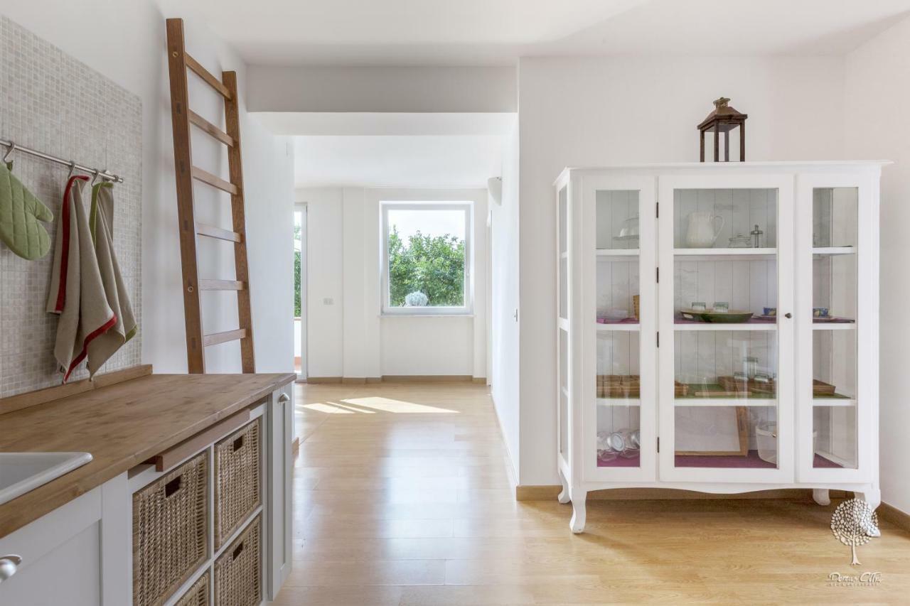 Domus Citri Bed & Breakfast Caserta Exterior photo