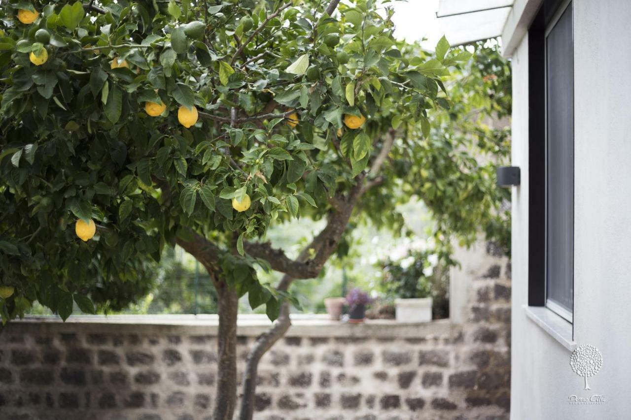 Domus Citri Bed & Breakfast Caserta Exterior photo