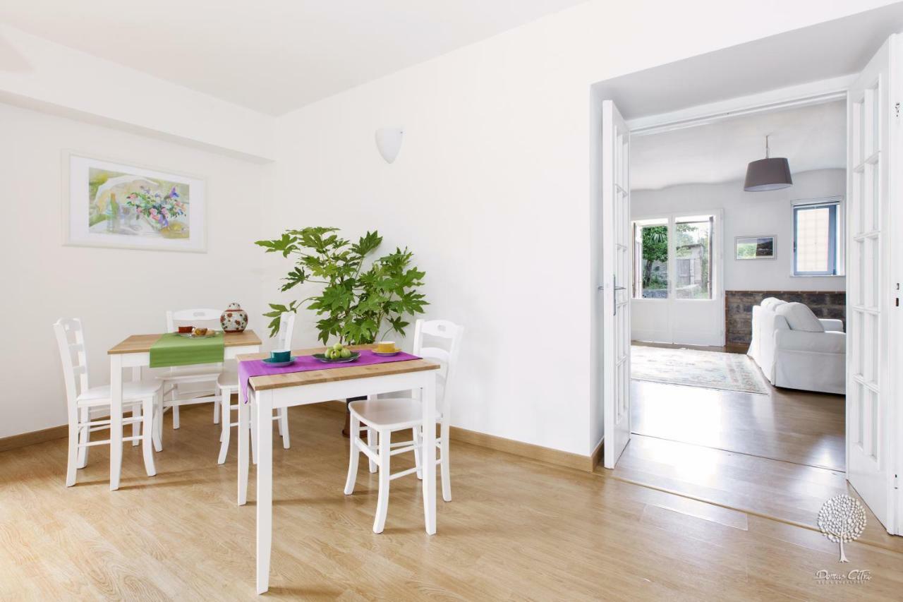 Domus Citri Bed & Breakfast Caserta Exterior photo